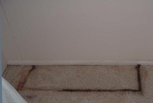 Wooden Cabinet Stained My Carpet